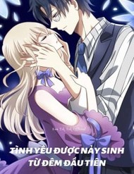 Tình Yêu Được Nảy Sinh Từ Đêm Đầu Tiên (Có Kết Hôn) đọc online